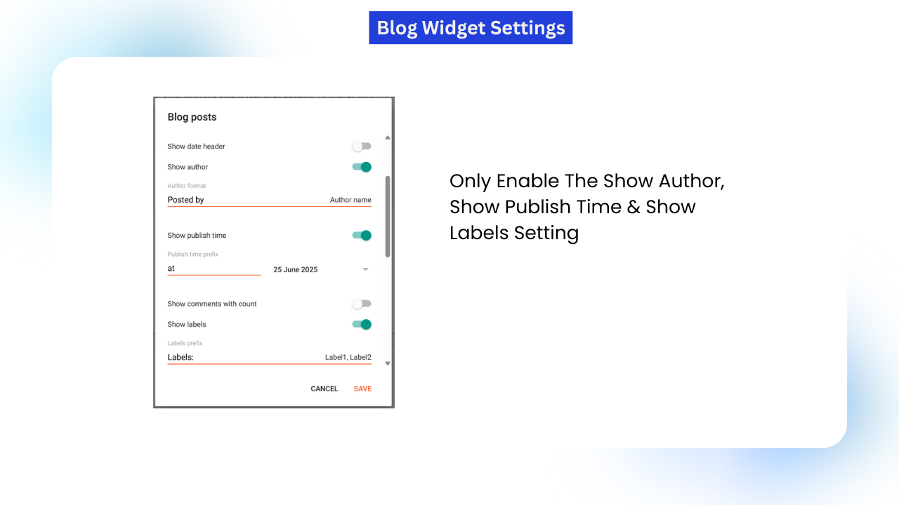 Blogger Theme Development : Only Enable The Show Author, Show Publish Time & Show Labels Setting
